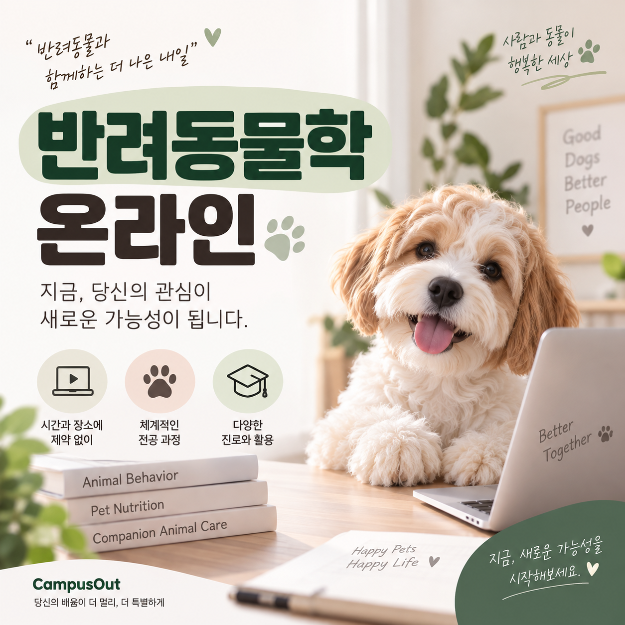 반려동물학 온라인, 직장인도 가능한 온라인 학습 과정 가이드
