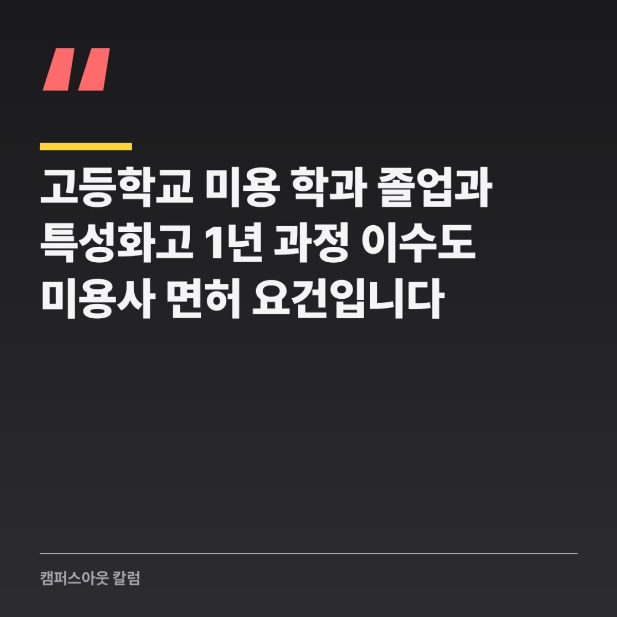 고등학교 미용 학과 졸업과 특성화고 1년 과정 이수도 미용사 면허 요건입니다