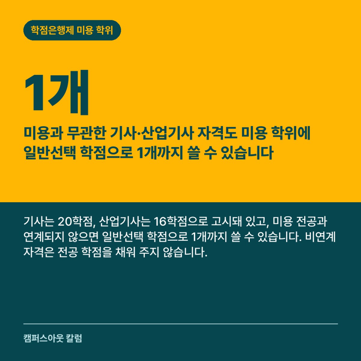 미용과 무관한 기사·산업기사 자격도 미용 학위에 일반선택 학점으로 1개까지 쓸 수 있습니다