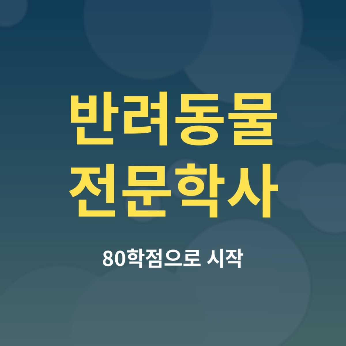 반려동물 전문학사, 학점은행제로 준비하는 구조와 활용법