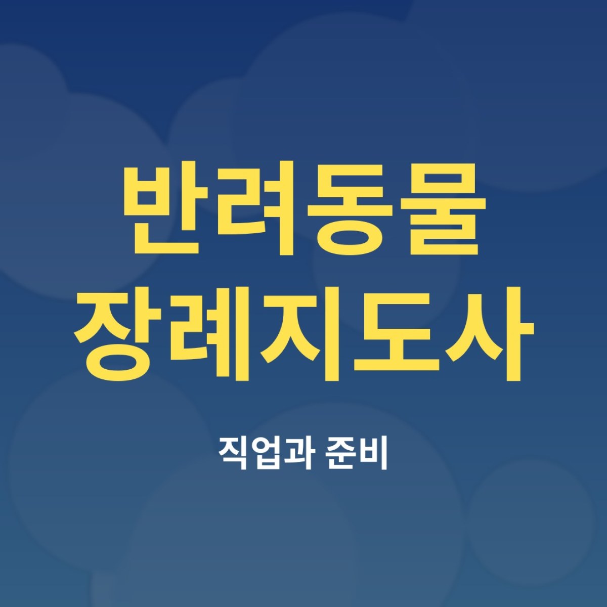 반려동물 장례지도사는 어떤 일을 할까? 자격과 현실 정리
