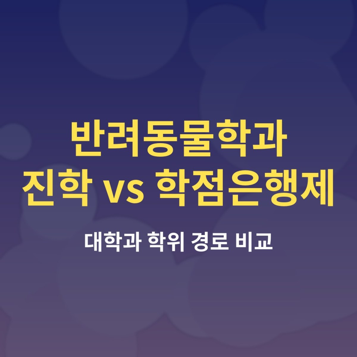 반려동물학과 진학과 학점은행제, 나에게 맞는 반려동물 학위 경로는?