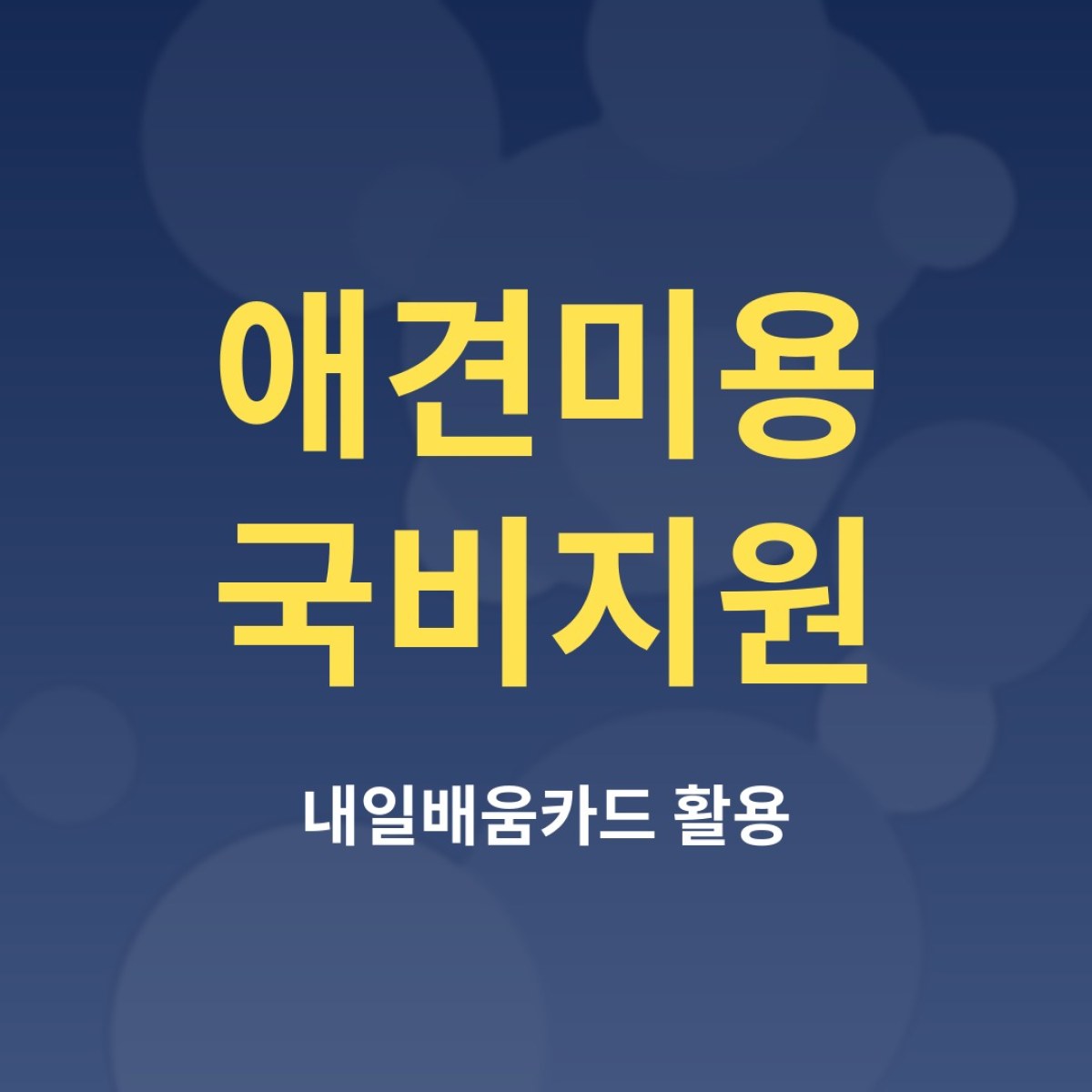 애견미용 국비지원, 내일배움카드로 배울 수 있을까?