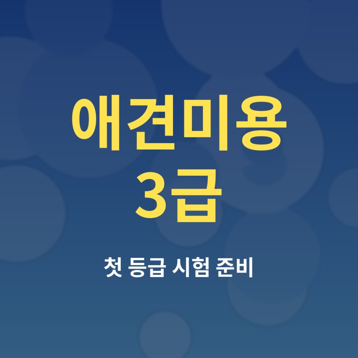 애견미용 3급 시험 준비, 위생 미용부터 실기 팁까지