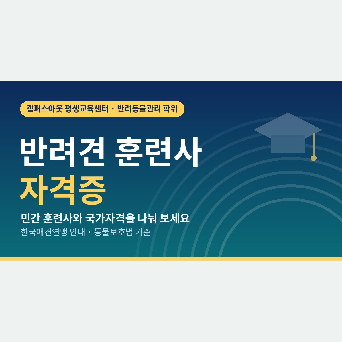 반려견 훈련사 자격증, 민간 훈련사와 국가자격 행동지도사 중 무엇부터