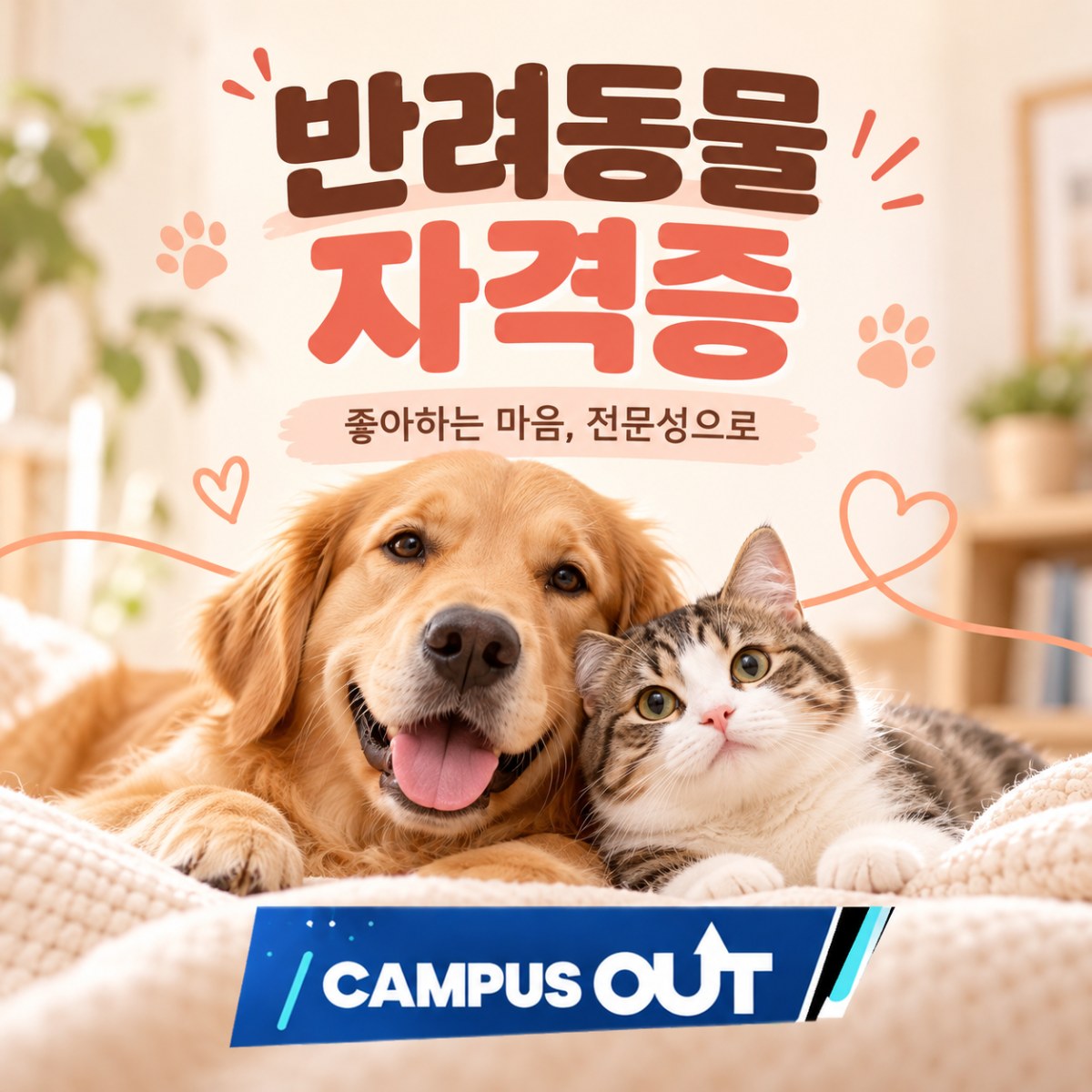 반려동물 자격증, 강아지를 좋아한다면 어떤 공부부터 시작할까?