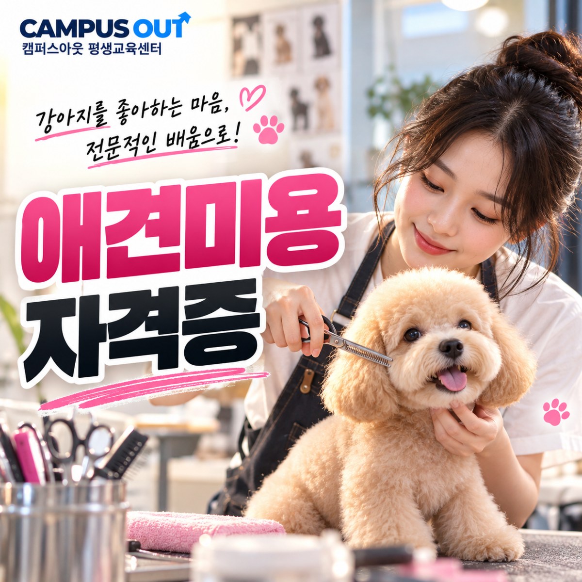 애견미용자격증, 미용기술만 배우면 될까? 반려동물 전공까지 준비하는 이유