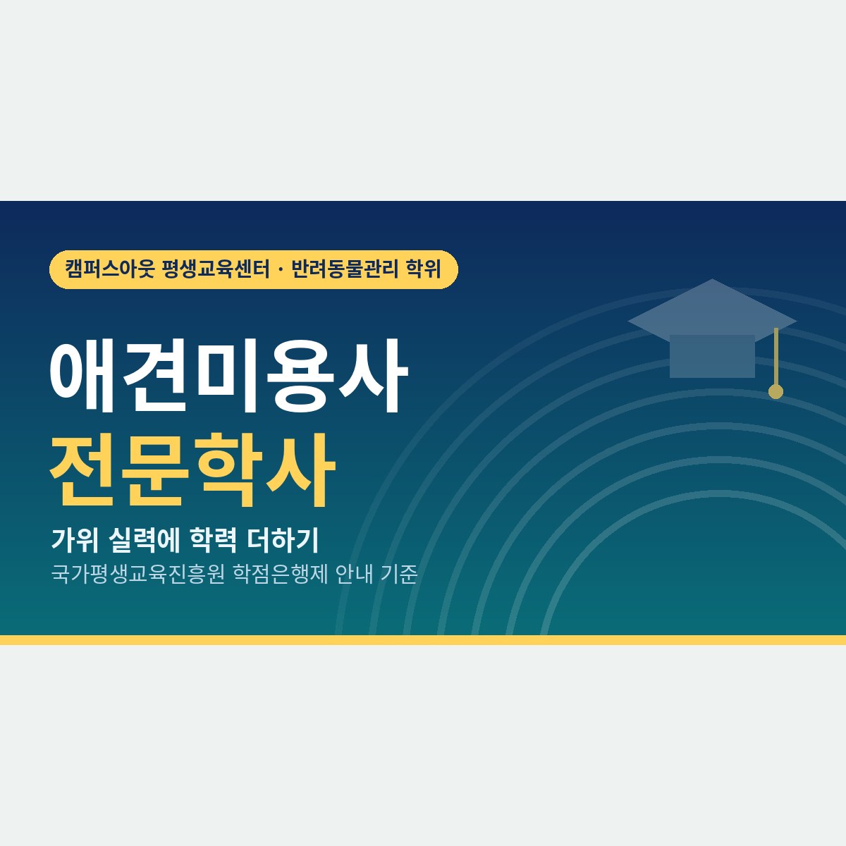 가위 실력에 학력을 더하면, 애견미용사 전문학사가 필요한 네 가지 상황