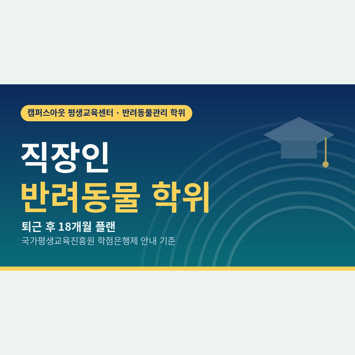 회사 다니며 반려동물 업계로 옮기고 싶다면, 직장인 반려동물 학위 18개월 플랜