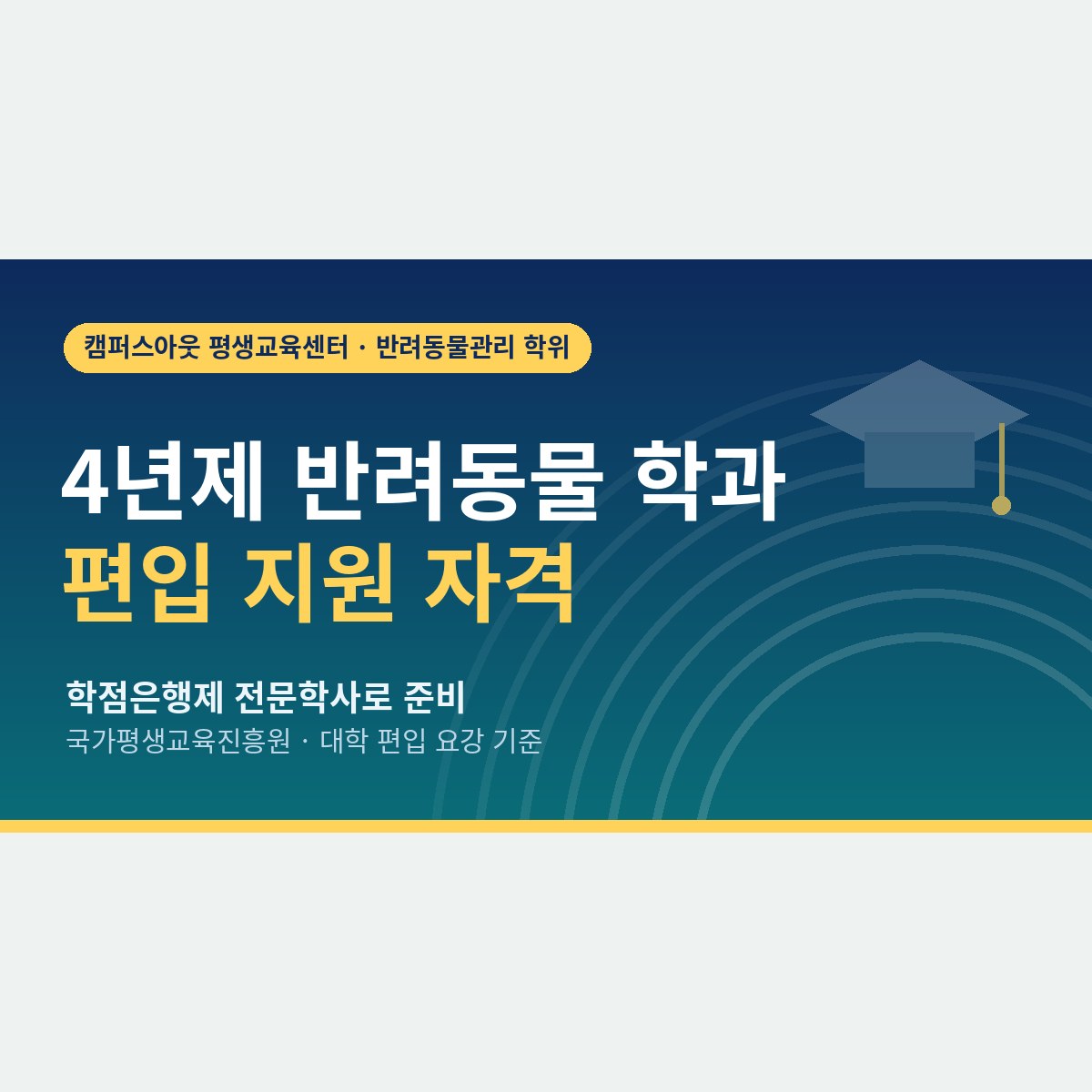 4년제 반려동물 학과로 가는 지름길, 반려동물 편입 학점은행제로 지원 자격 만드는 법