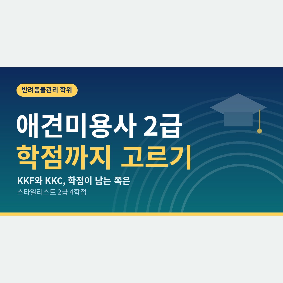3급 다음 단계, 애견미용사 자격증 2급을 학점까지 생각해 고르는 법