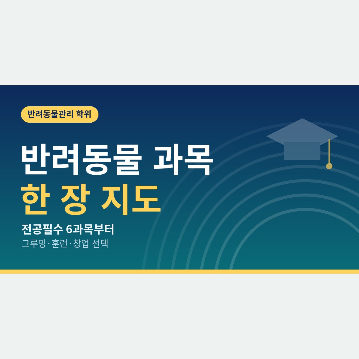 전공필수 6과목부터 그루밍·훈련까지, 학점은행제 반려동물 과목 한 장 지도