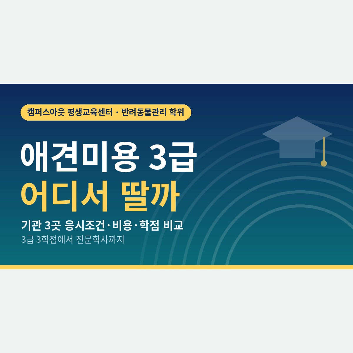 3학점이 되는 3급, 0학점인 3급? 애견미용사 자격증 3급 기관별 비교
