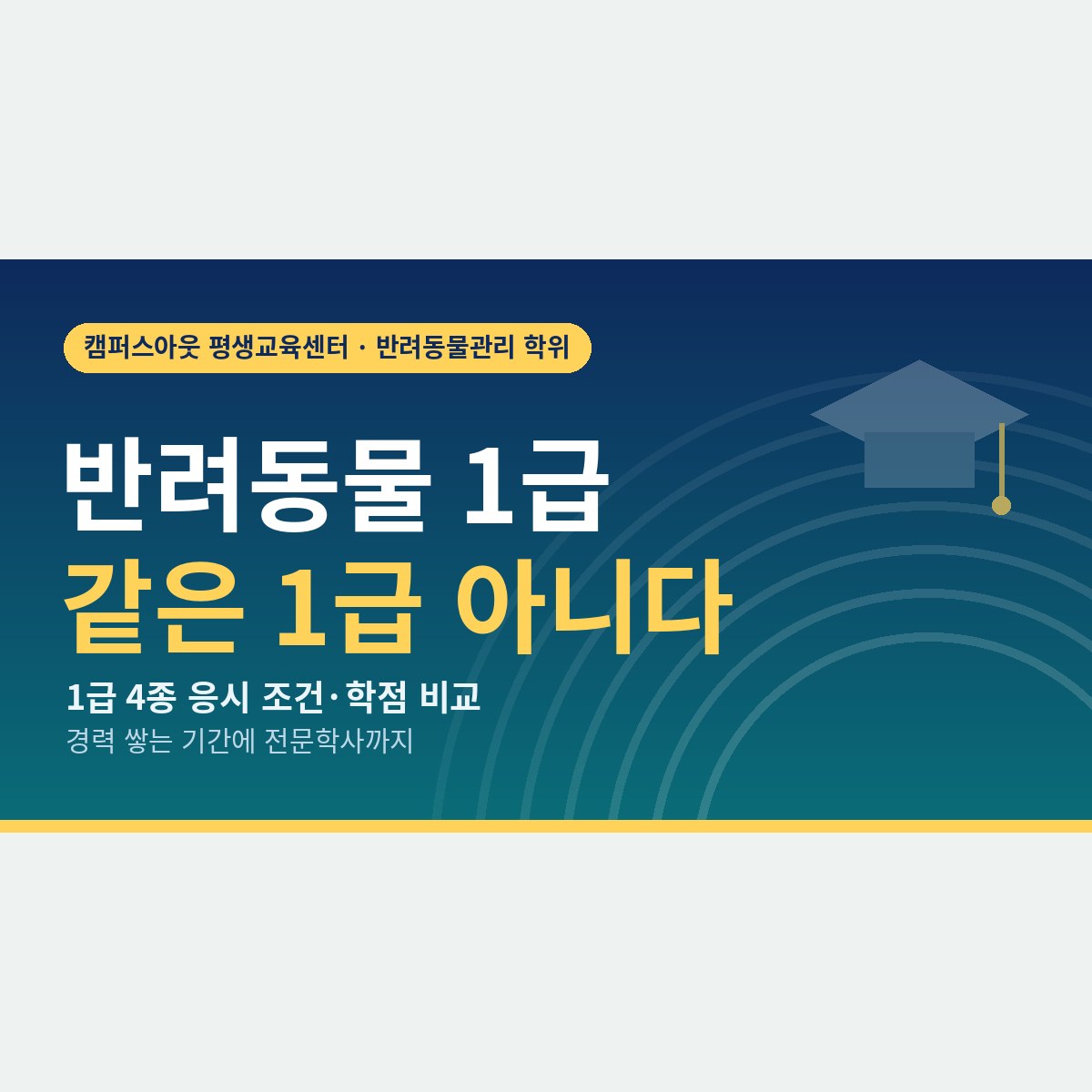 같은 ‘1급’인데 문턱은 천차만별, 반려동물 자격증 1급 4종 응시 조건 비교