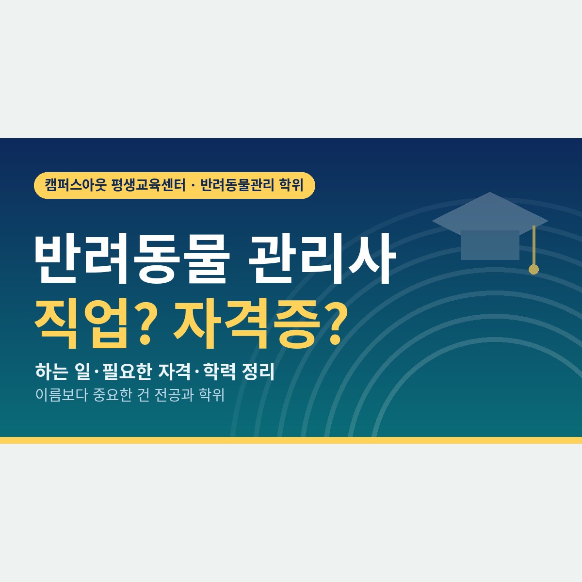반려동물 관리사란 직업일까 자격증일까? 하는 일·자격·학력을 한 번에 정리