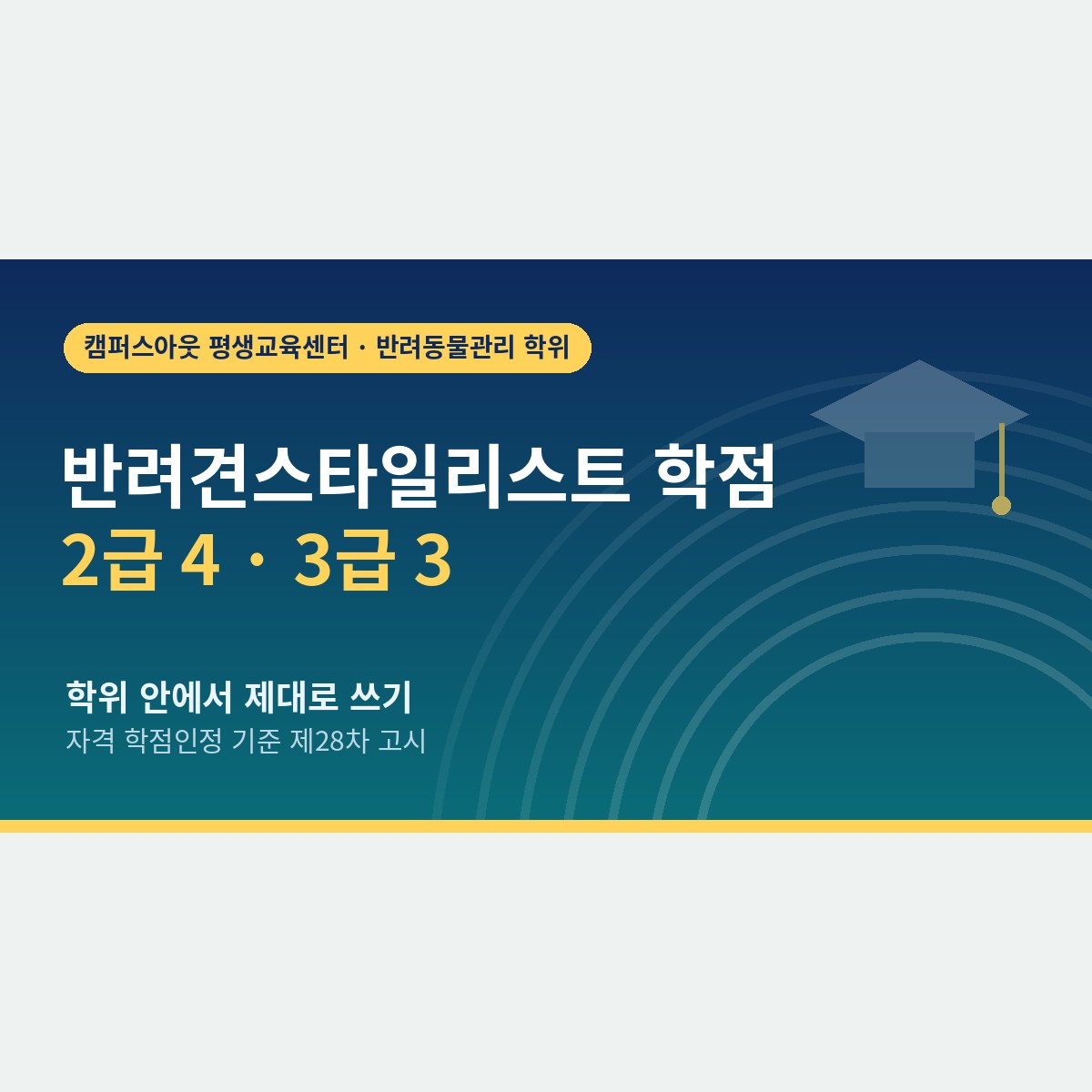 3급 3학점, 2급 4학점이 전부일까? 반려견스타일리스트 학점을 학위 안에서 제대로 쓰는 법