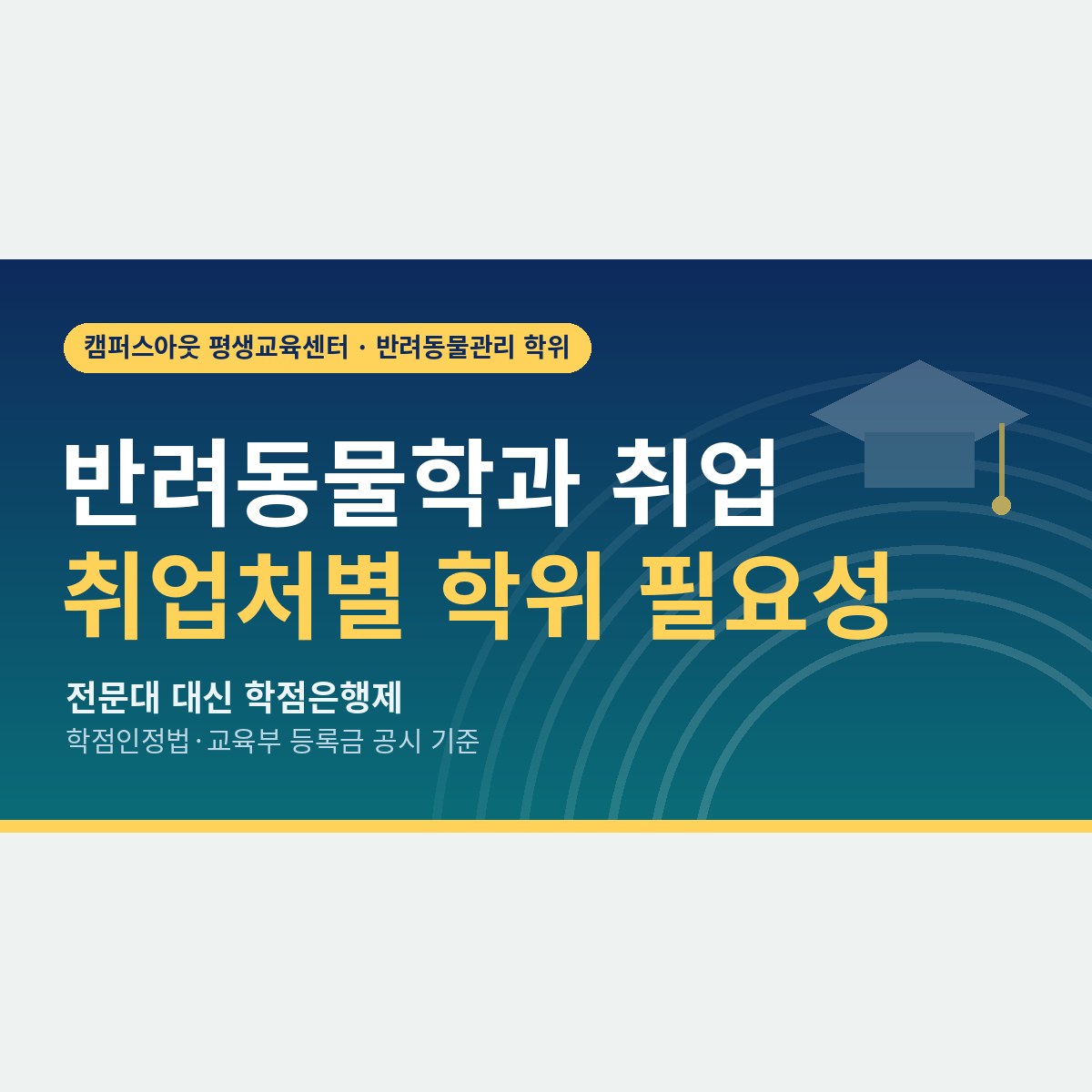 펫샵·유치원·동물병원·기업, 반려동물학과 취업처마다 학위가 필요한 순간은 다릅니다
