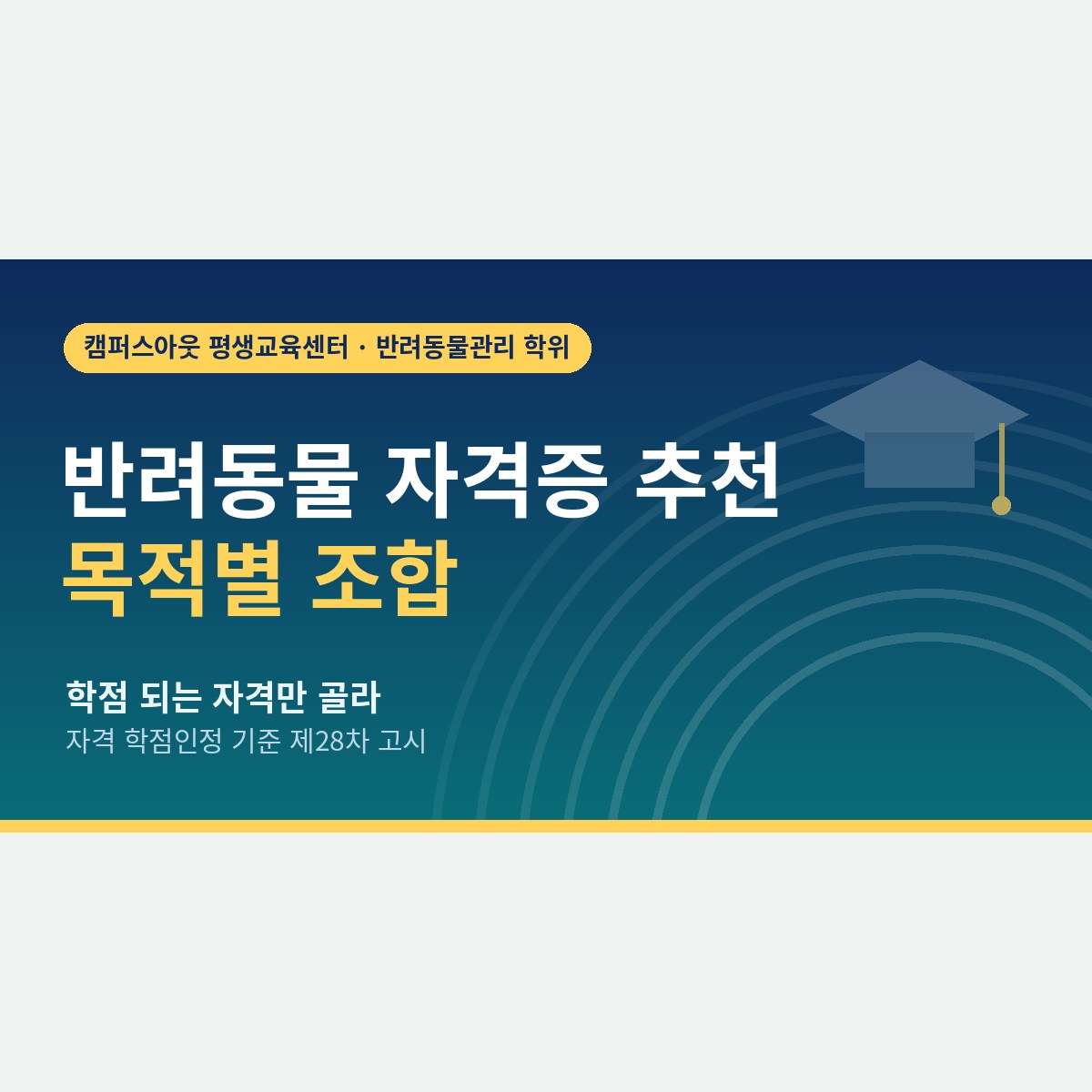 자격증부터 모을까, 학위부터 잡을까? 목적별 반려동물 자격증 추천과 학점 되는 조합