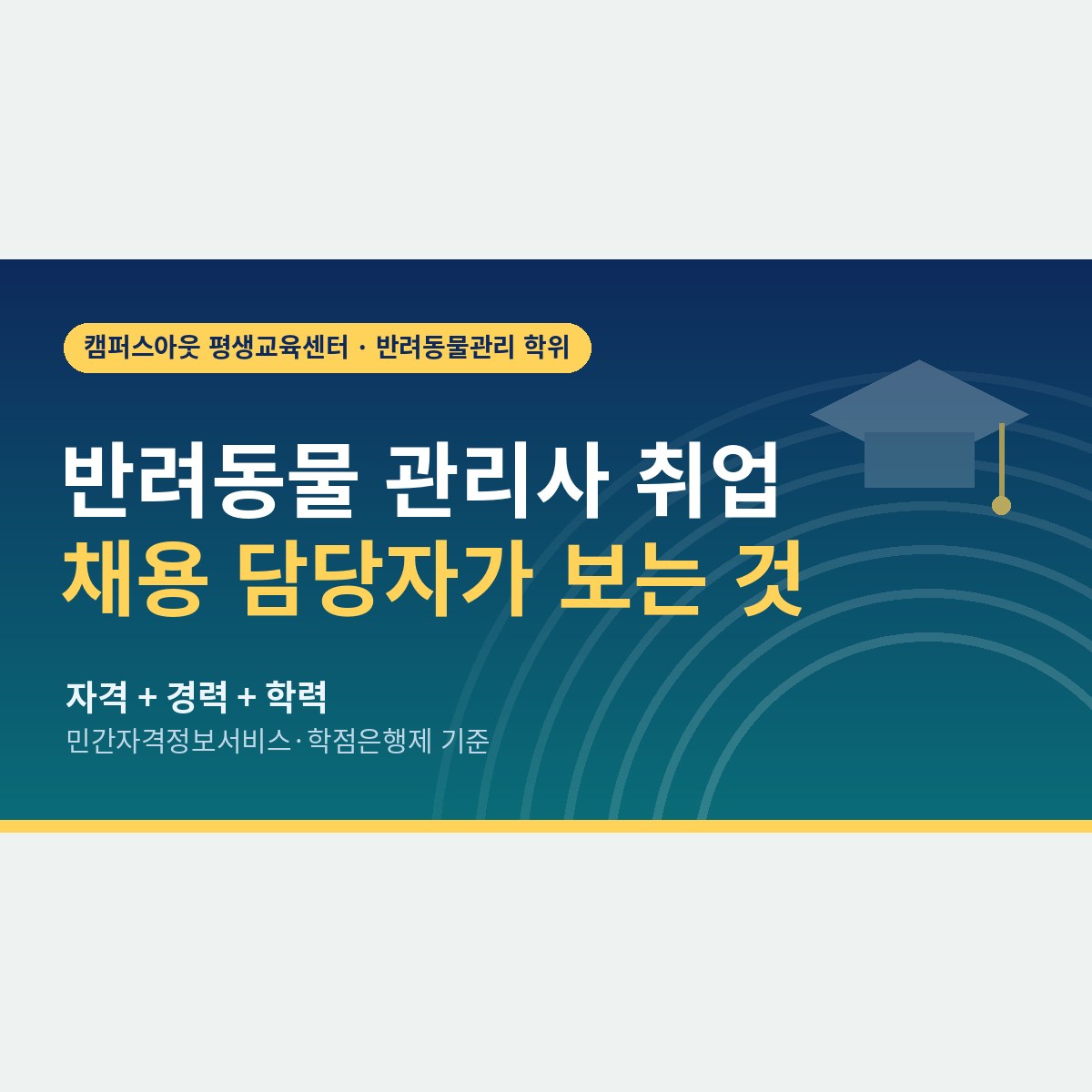 자격증은 땄는데 공고가 안 보인다면, 반려동물 관리사 취업에서 채용 담당자가 실제로 보는 것