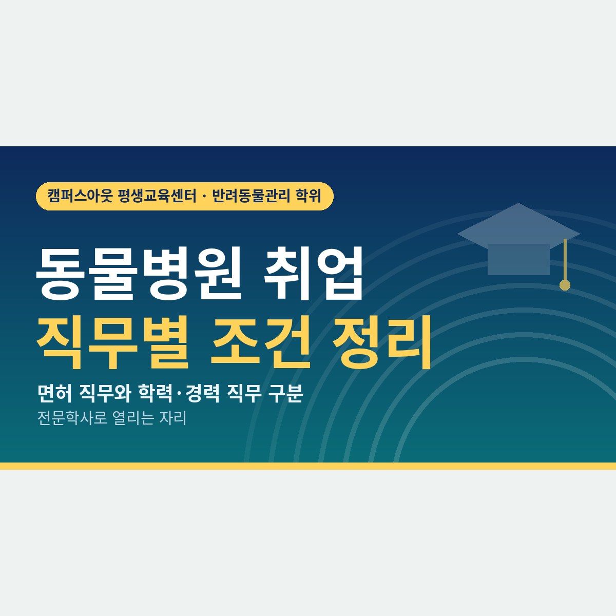 면허가 필요한 자리는 하나뿐, 동물병원 취업 조건을 직무별로 나눠 보면