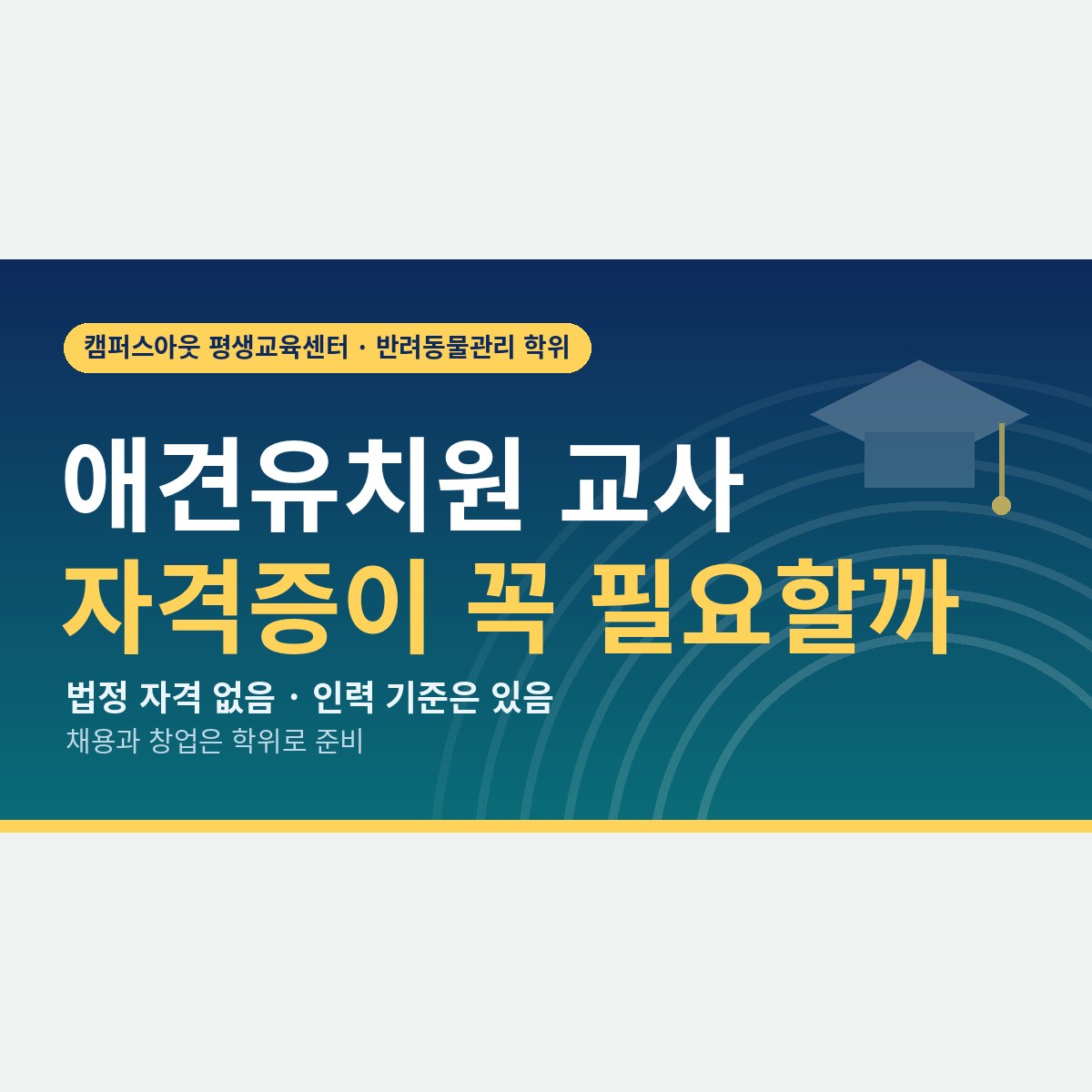 법에 정해진 자격은 없다? 애견유치원 교사 자격증 대신 채용에서 보는 세 가지