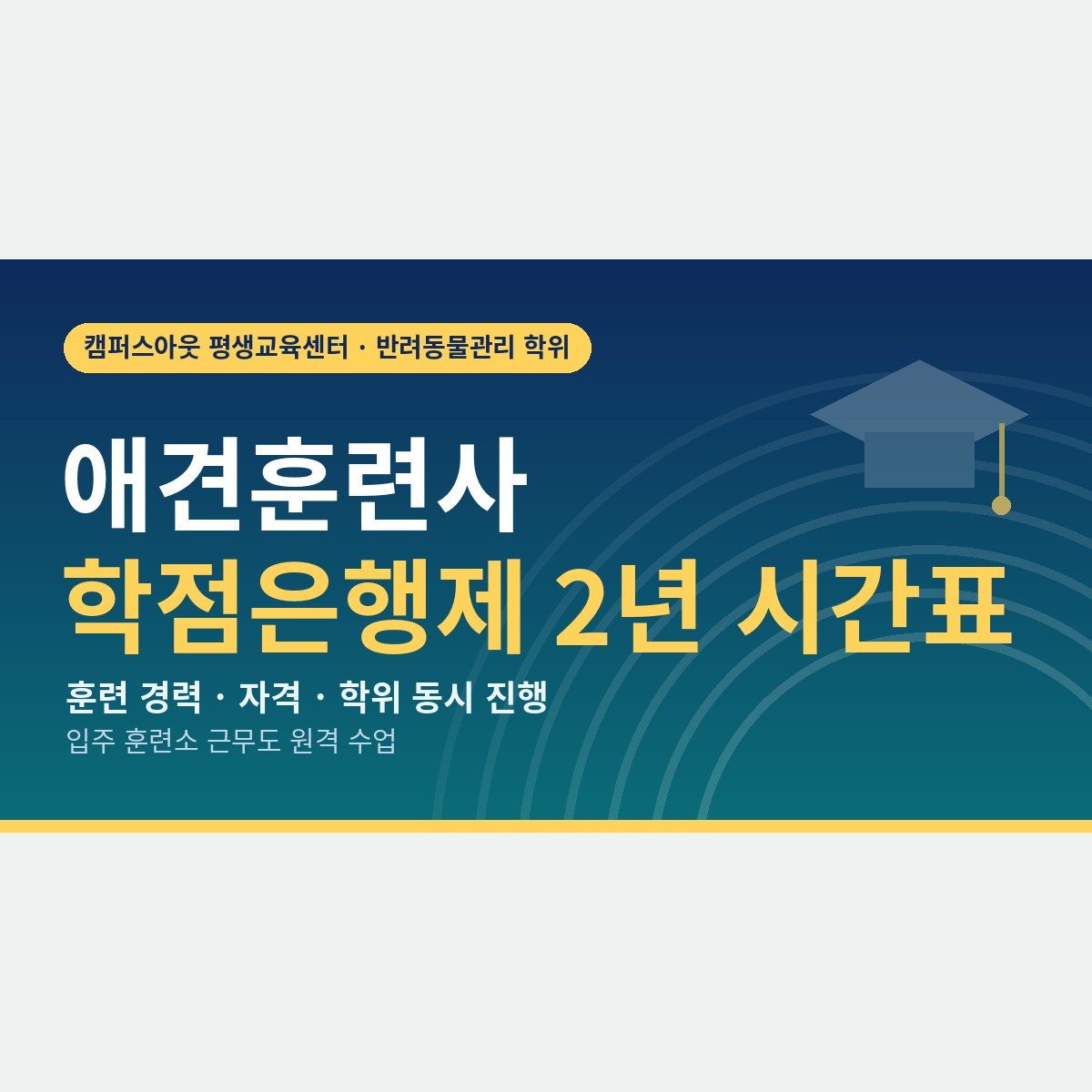 훈련소에서 일하며 학위까지, 애견훈련사 학점은행제 2년 시간표