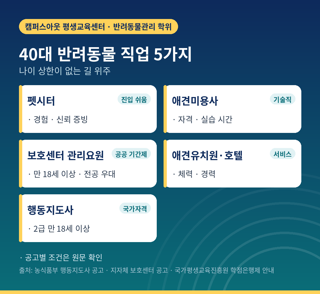 40대 반려동물 직업 5가지 비교